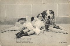 CPA Chien Chiens Enfant 
