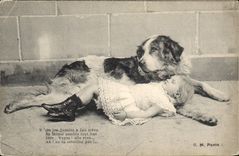 CPA Chien Chiens Enfant 