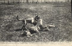 CPA Chien Chiens Chien ambulancier secourant un blesse Croix Rouge Militaria 