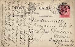 Vintage Postcard Dog Dogs Caesar The late king Edward' S favorite Terrier