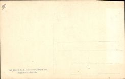 CPA Militaria SM le roi des Belges 