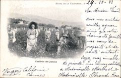 Vintage Postcard Gathering of the jasmines Hotel of California