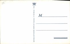 Vintage Postcard Dimensions Azure Gathering of the mimosa