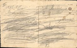 Vintage Postcard Fantasy Flowers Parrot