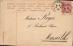 Vintage Postcard Dog Dogs Express train