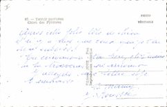 Modern Postcard Dog Dogs Pyrenean Soil Dog of the Pyrenees