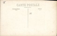 CARTE PHOTO Chien Chiens Caniche 