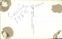 Modern Postcard Dog Dogs Poodle