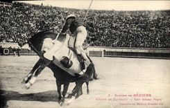 Postal Corrida Toro Arenas de Beziers Corrida de toros una buena clavija