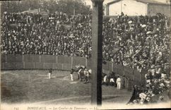CPA Corrida Taureau Arenes de Beziers Les courses de taureaux 