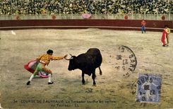 Postal Corrida Toro Corrida de toros el torero afecta los cuernos del toro