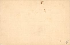 Vintage Postcard Fantasy Poisson Flowers