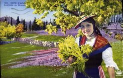 Vintage Postcard Cueillette of the Mimosa Dimensions Azure