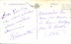 Vintage Postcard Cueillette Dimensions Azure Field of narcisses