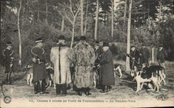 Vintage Postcard Chasse Dog Dogs Drives out has courre out of drill of Fontainebleau With return SIGNAL