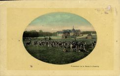 Vintage Postcard Chasse Dog Dogs Walk of the pack has Chantilly
