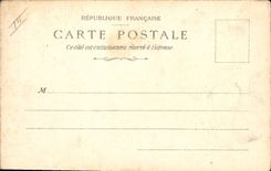 Vintage Postcard Fantasy Women Birds Pear