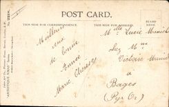 Vintage Postcard Fantasy Good Woman and happy year Dog