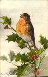 Vintage Postcard Fantasy Illustrator Flowers Bird