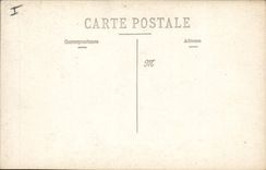 CARTE PHOTO Chiens Chien 