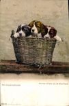 Vintage Postcard Young people Dogs of St Bernard Chien