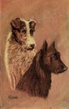 CPA Chiens Chien 
