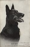Vintage Postcard Dogs Dyck Dog the dog with the human brain