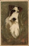 Vintage Postcard Dogs Dog Fox terrier Terrier