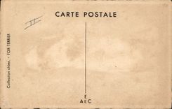 Vintage Postcard Dogs Dog Fox terrier Terrier