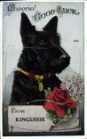 CARTE SYSTEME Chiens Chien Kingussie 