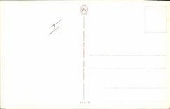 Vintage Postcard Dogs Dog Child Baby