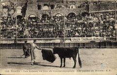 CPA Corrida Course de taureaux Nimes les arenes un jour de course espagnole Les passes de muleta 