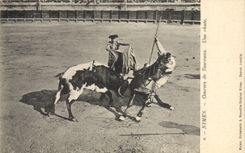 CPA Corrida Course de taureaux Nimes Une chute 