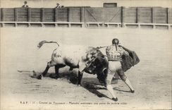 CPA Corrida Course de taureaux Matador executant une passe de muleta aidee 