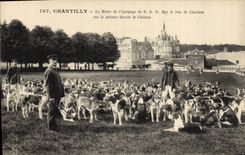 Vintage Postcard Chasse has courre Chantilly the pack of crew SAR Mgr the duke of Chartres on the lawn in front of the castle Chien Dogs SIGNAL