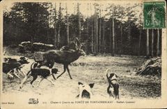 CPA Chasse a courre en Foret de Fontainebleau Hallali Courant Chien Chiens 