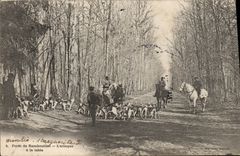 Vintage Postcard Chasse has courre Foret of Rambouillet the attack has the table Chien Dogs