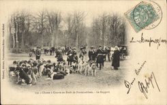 Vintage Postcard Chasse has courre out of drill of Fontainebleau the report Chien Dogs