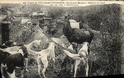 CPA Chasse a courre Foret de Villers Cotterets Equipage Menier Hallali de cerf sur un toit a Haramont Chien Chiens 