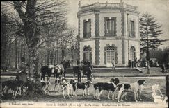 Vintage Postcard Chasse has courre Foret of Dreux the Rendez house of hunting Chien Dogs
