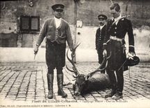 Vintage Postcard Chasse has courre Foret of Villers Cotterets Equipage Menier Cerf of St Hubert