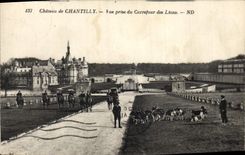 CPA Chasse a courre Chateau de Chantilly Vue prise du Carrefour des lions Chien Chiens 
