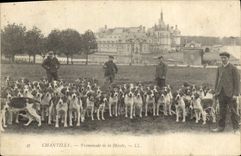 Vintage Postcard Chasse has courre Chantilly Promenade of the pack Chien Dogs