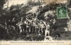 CPA Chasse a courre en Foret de Fontainebleau Le cerf faisant tete aux chiens Chien 