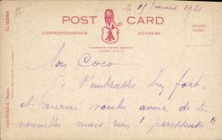 Vintage Postcard Dogs Dog Cat Kitten In loving expectation