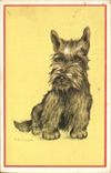 CPA Chiens Chien 