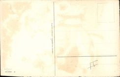 Vintage Postcard Chiens Dog Parks with the false step!