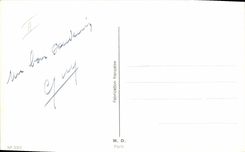 Vintage Postcard Cats Cat