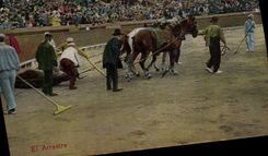 CPA Corrida Course de taureaux El arrastre 