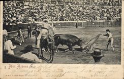 CPA Corrida Course de taureaux Aux arenes 